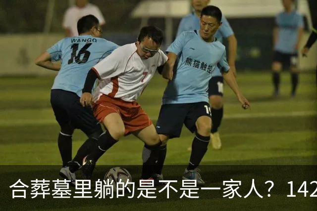 合葬墓里躺的是不是一家人？142具古人DNA给出意外答案